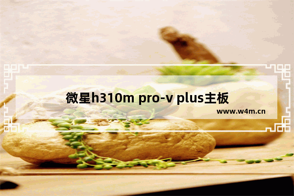 微星h310m pro-v plus主板用什么显卡 微星显卡h