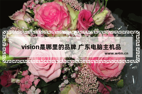 vision是哪里的品牌 广东电脑主机品牌