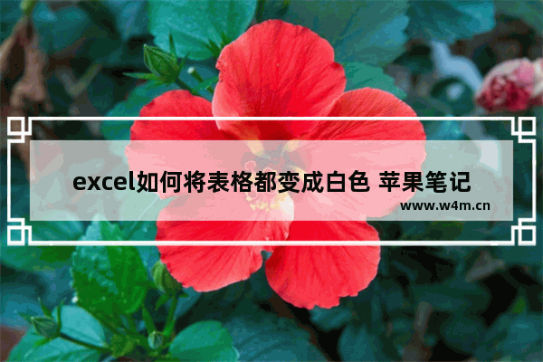 excel如何将表格都变成白色 苹果笔记本电脑怎么样变白