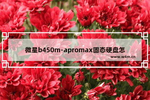 微星b450m-apromax固态硬盘怎么固定 固态硬盘没固定