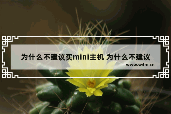 为什么不建议买mini主机 为什么不建议买迷你机箱