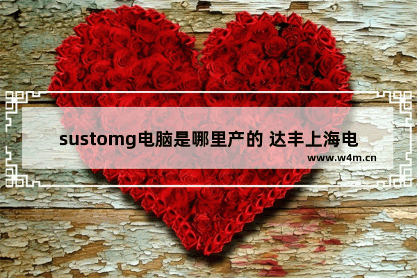 sustomg电脑是哪里产的 达丰上海电脑厂怎么样