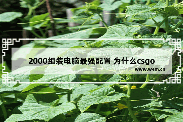 2000组装电脑最强配置 为什么csgo换了新号一直连接csgo网络