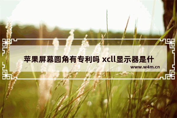 苹果屏幕圆角有专利吗 xcll显示器是什么牌子的