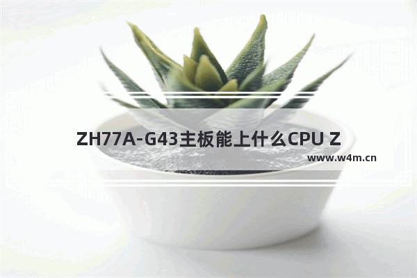 ZH77A-G43主板能上什么CPU ZH77A-G43主板能上什么CPU