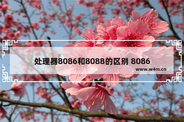 处理器8086和8088的区别 8086/8088的地址总线有多少位 寻址地址是多少