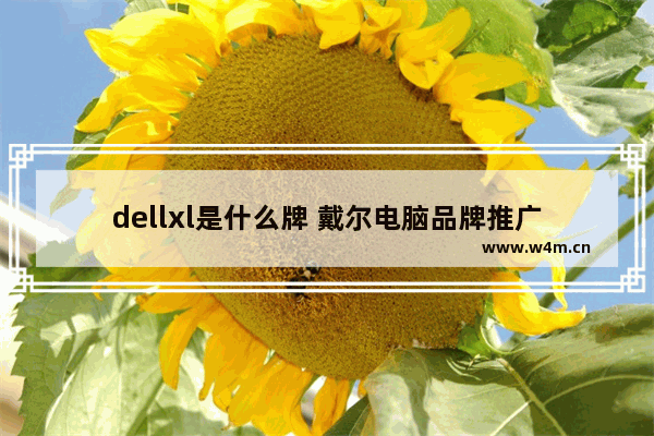 dellxl是什么牌 戴尔电脑品牌推广