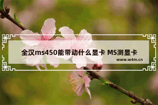 全汉ms450能带动什么显卡 MS测显卡