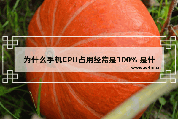 为什么手机CPU占用经常是100% 是什么原因 手机cpu占用高