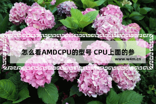 怎么看AMDCPU的型号 CPU上面的参数编码型号什么意思 怎么识别