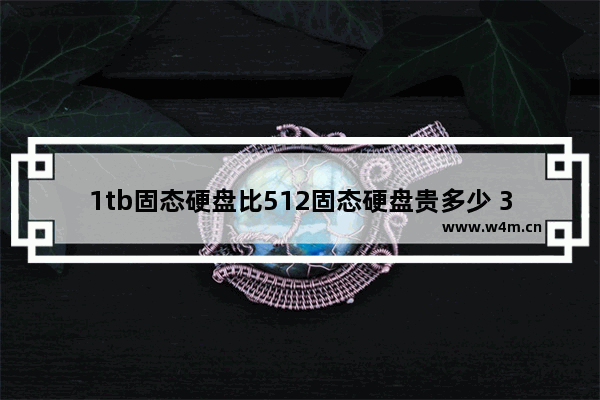 1tb固态硬盘比512固态硬盘贵多少 32g内存512g固态1t是什么意思