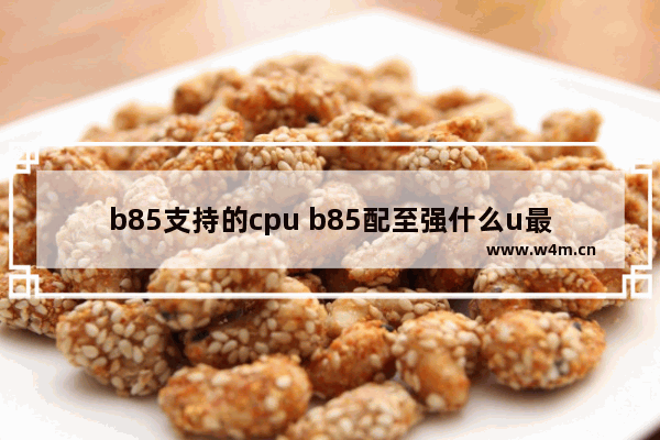 b85支持的cpu b85配至强什么u最好