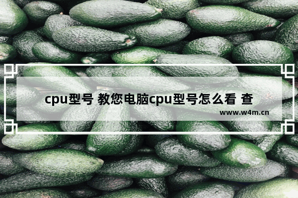 cpu型号 教您电脑cpu型号怎么看 查电脑cpu型号的