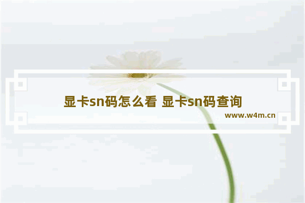 显卡sn码怎么看 显卡sn码查询