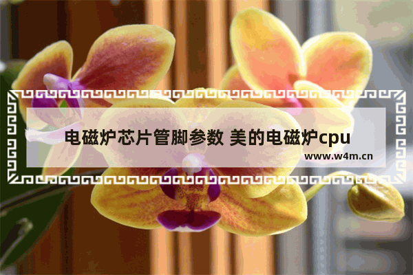 电磁炉芯片管脚参数 美的电磁炉cpu