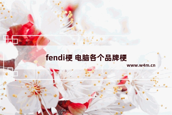 fendi梗 电脑各个品牌梗