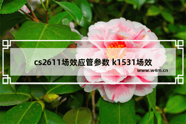 cs2611场效应管参数 k1531场效应管参数