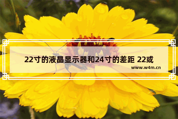 22寸的液晶显示器和24寸的差距 22或24寸显示器差距牌子比较