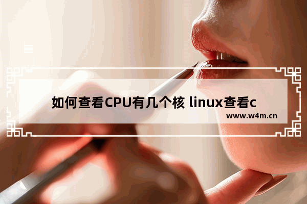 如何查看CPU有几个核 linux查看cpu的核数