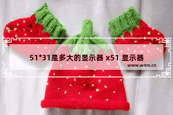 51*31是多大的显示器 x51 显示器