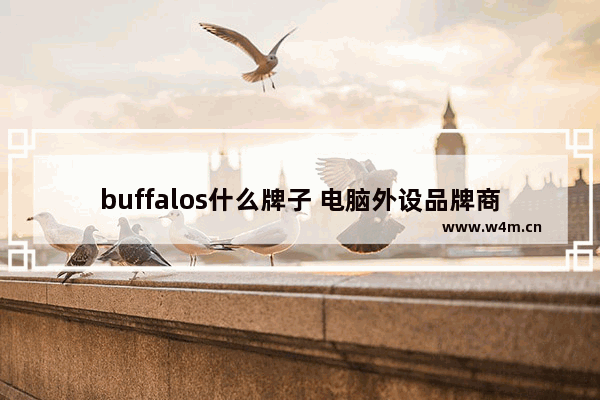 buffalos什么牌子 电脑外设品牌商标