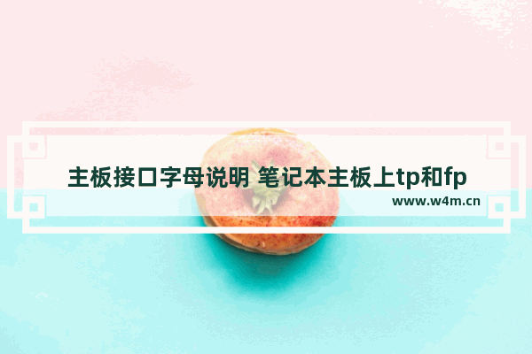 主板接口字母说明 笔记本主板上tp和fp是什么接口