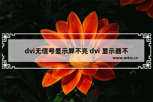 dvi无信号显示屏不亮 dvi 显示器不亮