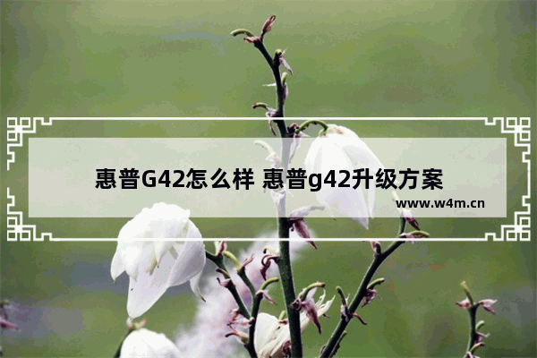 惠普G42怎么样 惠普g42升级方案