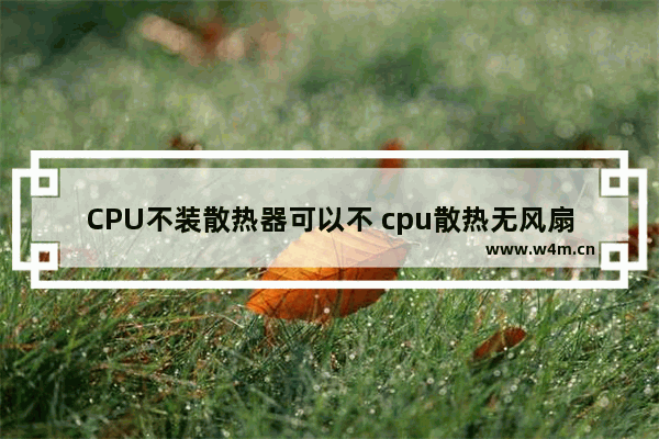 CPU不装散热器可以不 cpu散热无风扇散热器