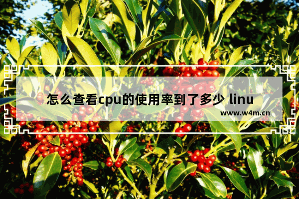 怎么查看cpu的使用率到了多少 linux获取cpu的使用率