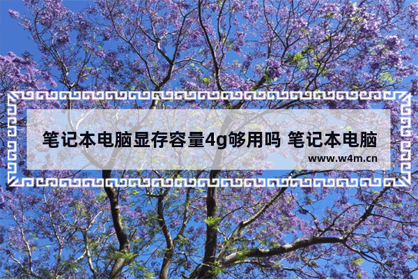 笔记本电脑显存容量4g够用吗 笔记本电脑加4g内存条