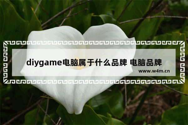 diygame电脑属于什么品牌 电脑品牌游戏玩家