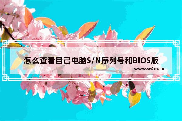 怎么查看自己电脑S/N序列号和BIOS版本 怎么查看自己电脑用的主板是什么牌子的