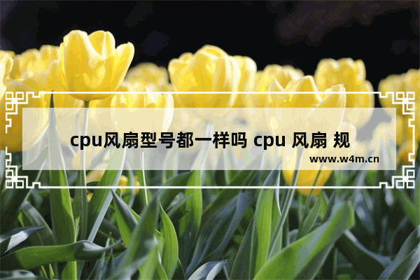 cpu风扇型号都一样吗 cpu 风扇 规格