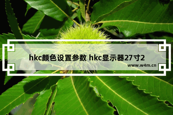 hkc颜色设置参数 hkc显示器27寸2k怎么调