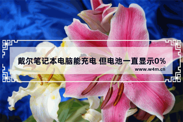 戴尔笔记本电脑能充电 但电池一直显示0% 笔记本电脑电量0