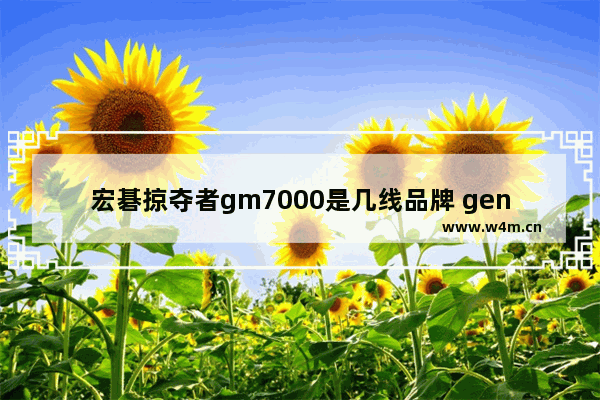 宏碁掠夺者gm7000是几线品牌 gen4 固态硬盘