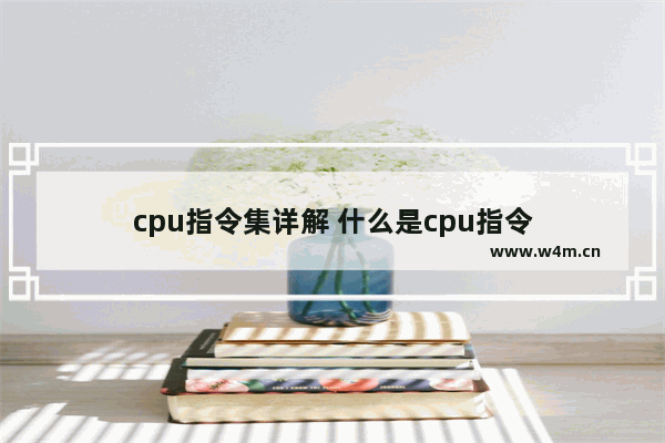 cpu指令集详解 什么是cpu指令