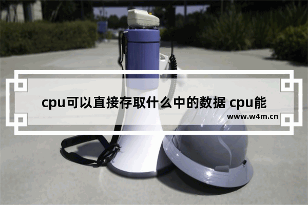 cpu可以直接存取什么中的数据 cpu能访问什么不能访问什么