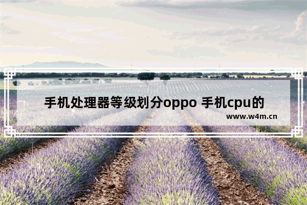 手机处理器等级划分oppo 手机cpu的高低