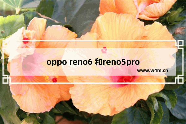 oppo reno6 和reno5pro处理器哪个好 pro6cpu