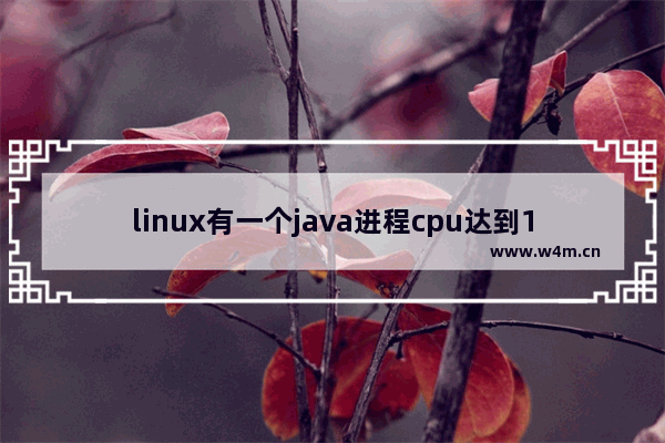 linux有一个java进程cpu达到100 怎么回事 程序进程多 linux cpu超过100