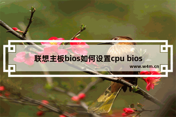 联想主板bios如何设置cpu bios如何设置cpu