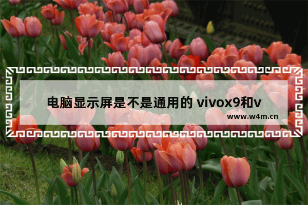 电脑显示屏是不是通用的 vivox9和vivox9plus的屏幕可以通用吗