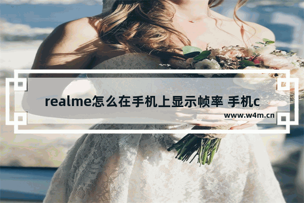 realme怎么在手机上显示帧率 手机cpu实时显示