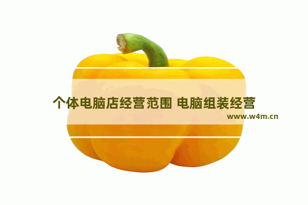 个体电脑店经营范围 电脑组装经营