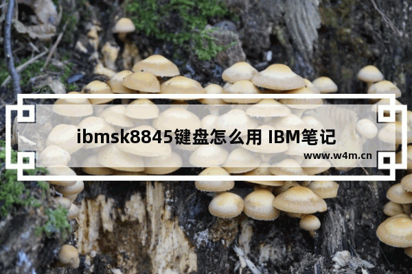 ibmsk8845键盘怎么用 IBM笔记本电脑按FN和F8是起什么用的