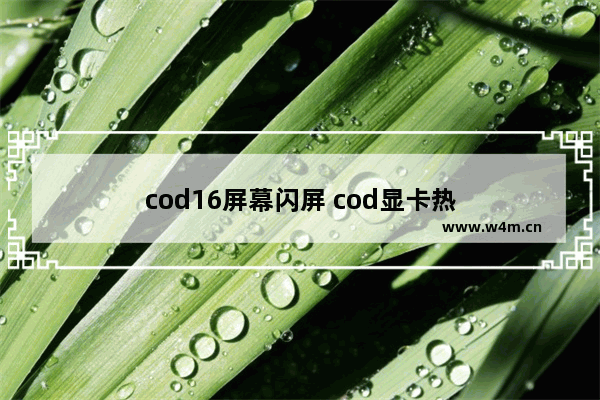 cod16屏幕闪屏 cod显卡热