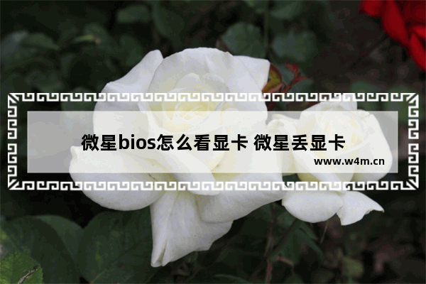 微星bios怎么看显卡 微星丢显卡