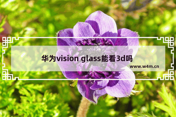 华为vision glass能看3d吗 不闪式3d和快门式3d有什么区别